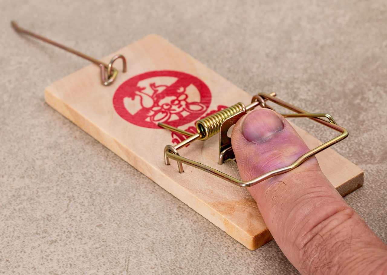 mistake, mouse trap, foolish, hurt, trapped, sore, error, finger, snap, mousetrap, trap, hand, swollen, catch, snare, rat, problem, capture, bait, temptation, risk, warning, dangerous, ouch, pain, beware, surprise, silly, take care, oops, careless, danger, unexpected, hazard, brown pain, brown mouse, brown care, brown surprise